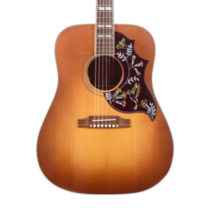 Acoustic guitars
